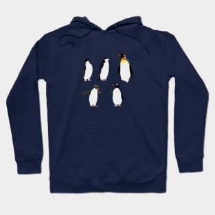 Antarctic Penguins Hoodie